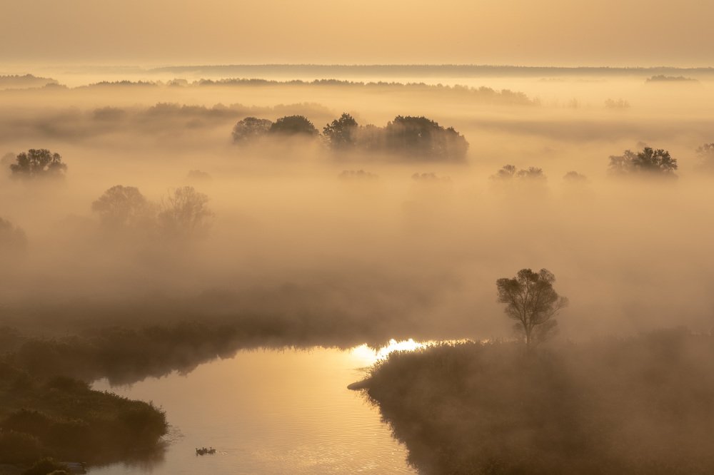 Photograph by Барабанов Алексей