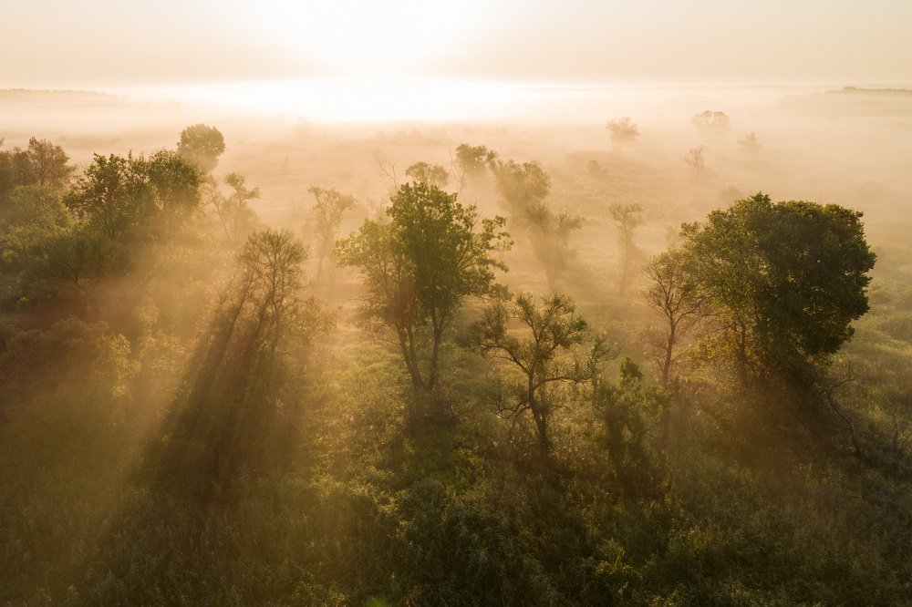 Photograph by Барабанов Алексей