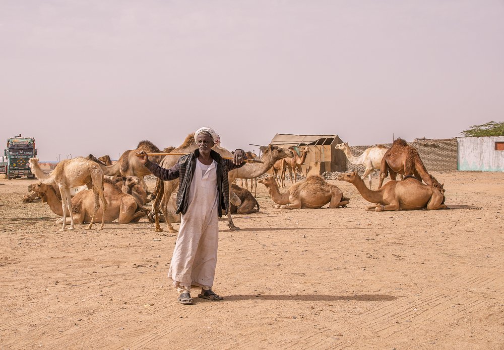 Фотография автора Sherine El Mously