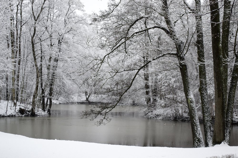 Photograph by Nora Cheprasova