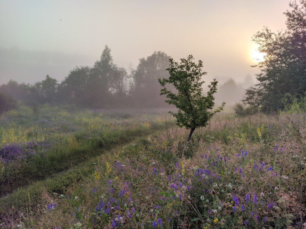 Photograph by Светлана Кондрашова