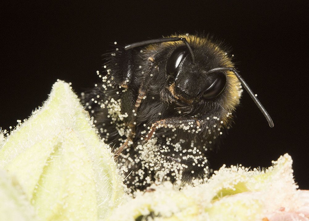 На снежной трассе