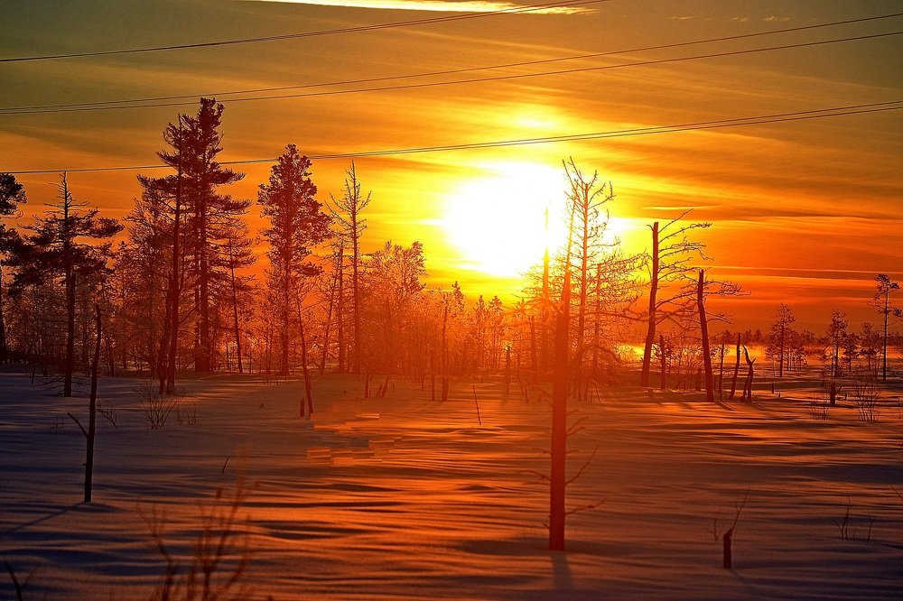 Photograph by Михаил Рудиков