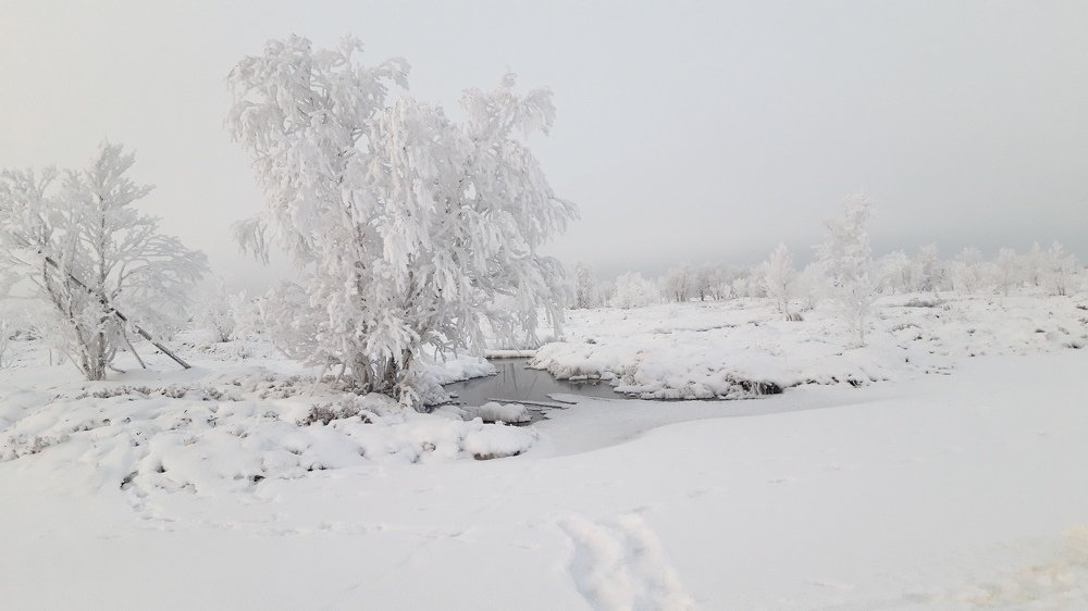 Морозное утро.