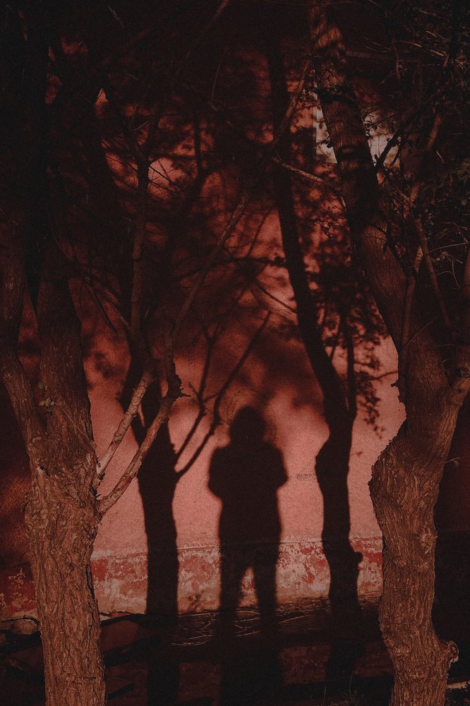 Photograph by Артём Чепров