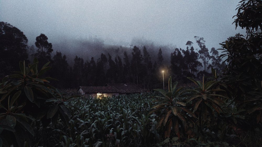 Photograph by Ankalli Maldonado