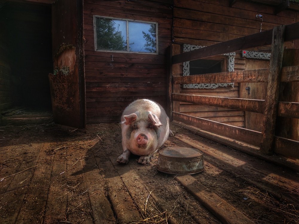 Photograph by Артем Авдеев