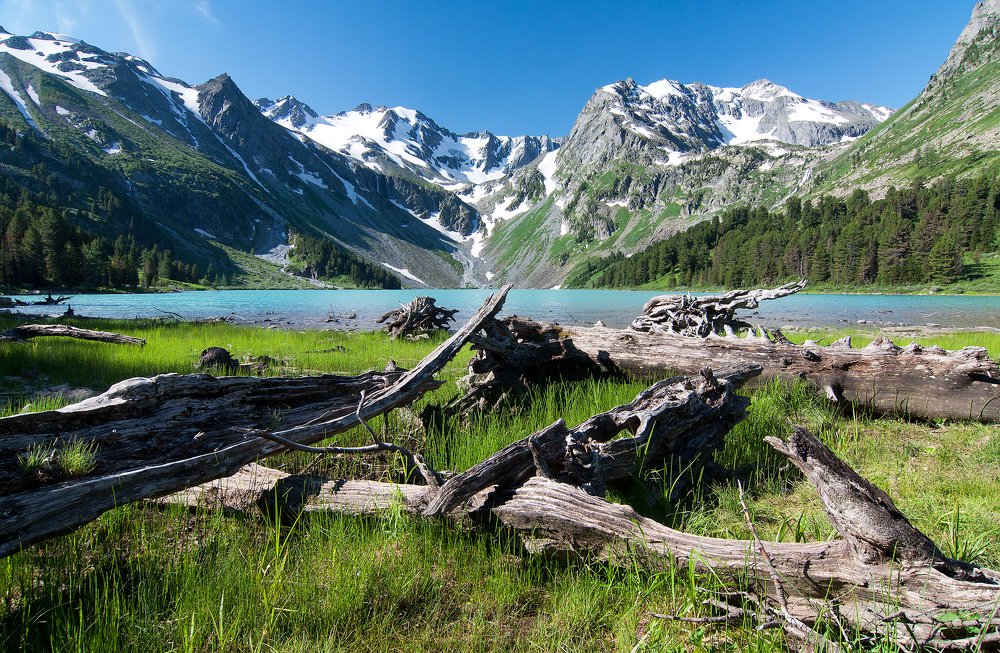 Photograph by Maria Pochikaeva