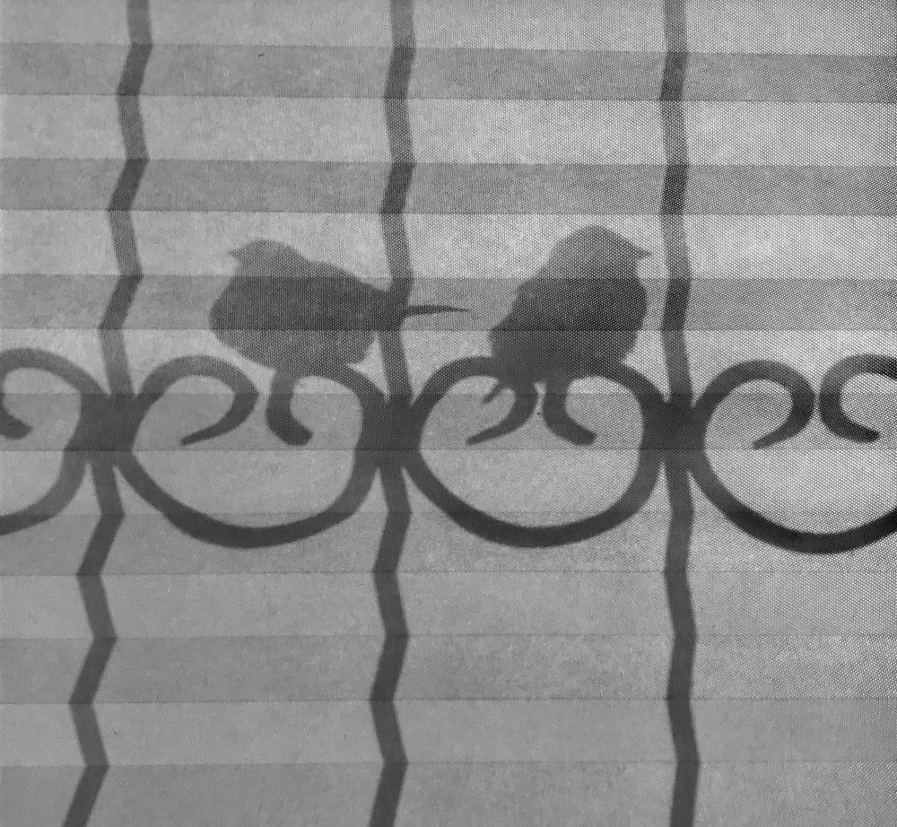 Photograph by Anar K. Amirova