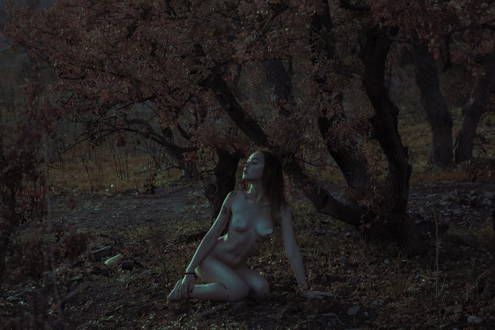 Photograph by Алина Романова