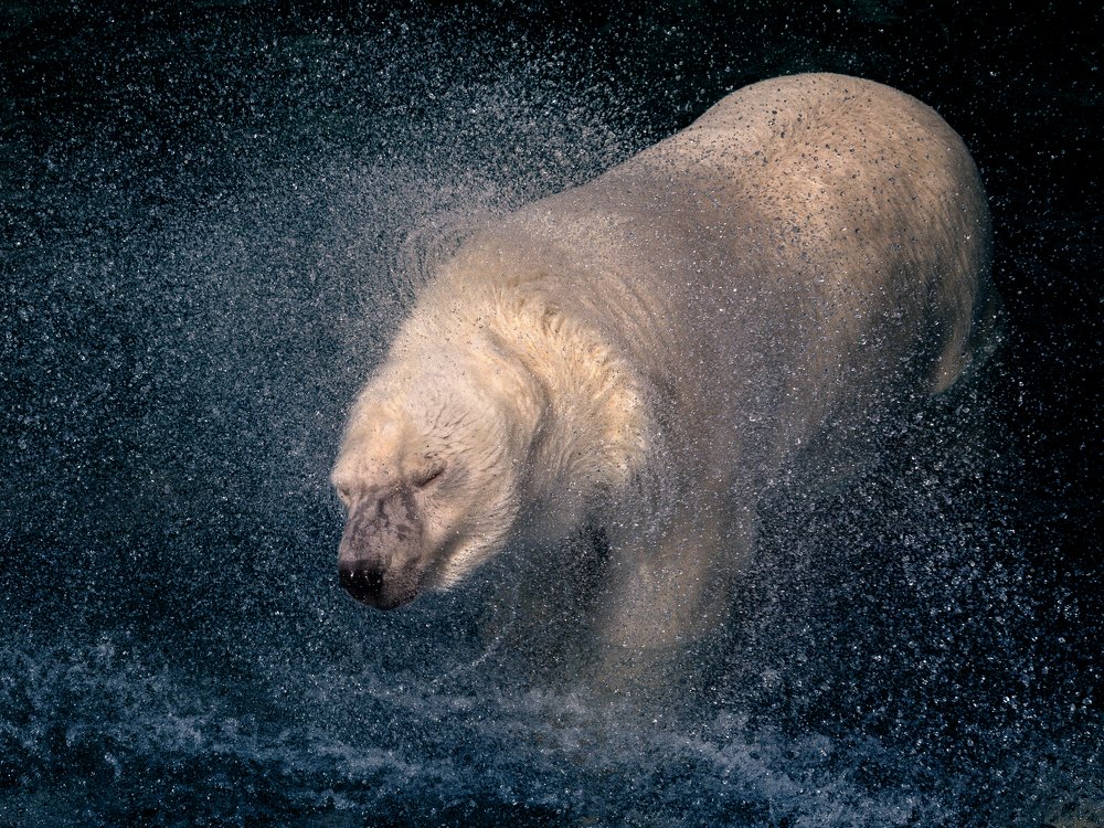 Рассыпая брызги