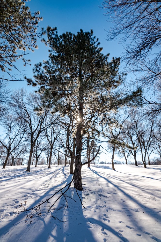 Photograph by Duane Vosika