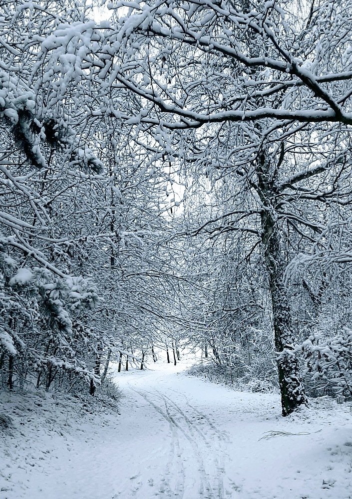 Первый снег