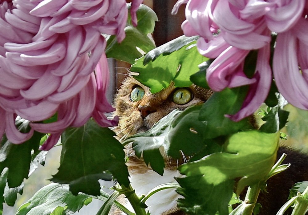 Photograph by Лидия Ушакова