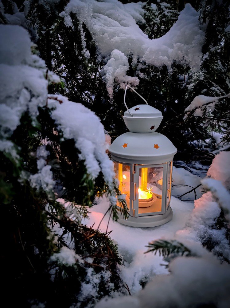 Photograph by Елена Башмакова