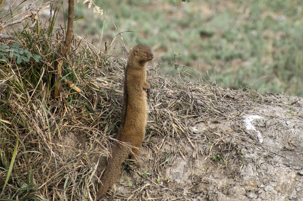 Photograph by mayur shrimali