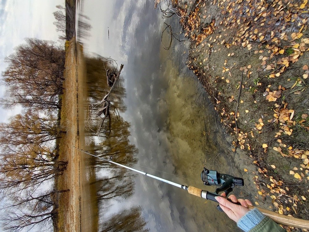 Photograph by Юлия Гудкова