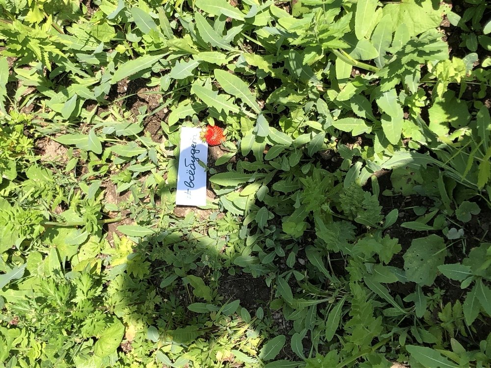 Photograph by Елена Водолеева