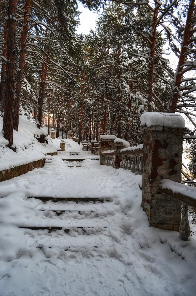 Photograph by Максим Солдатенко