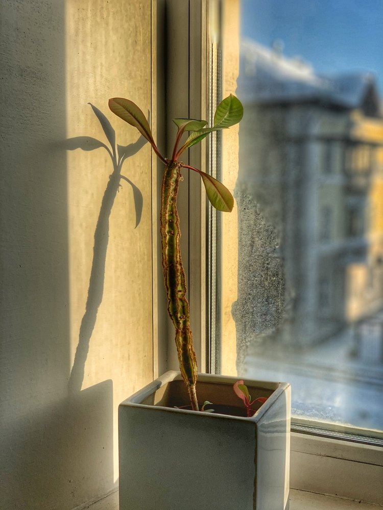 Photograph by Anastasia Malysh