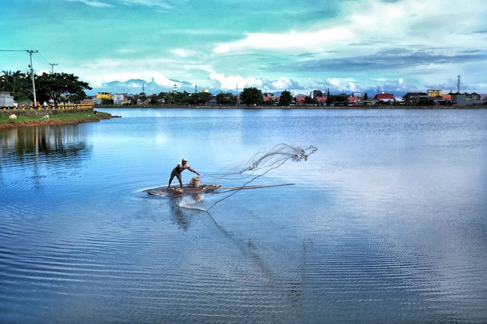 Photograph by Honest