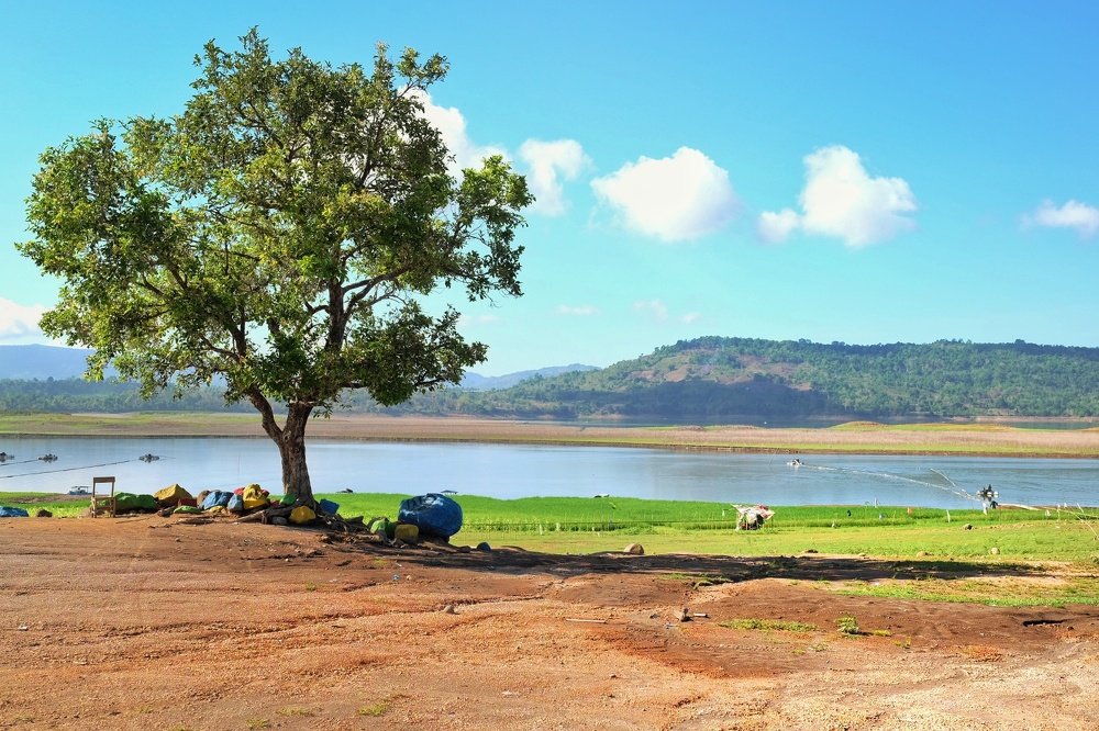 Photograph by Honest