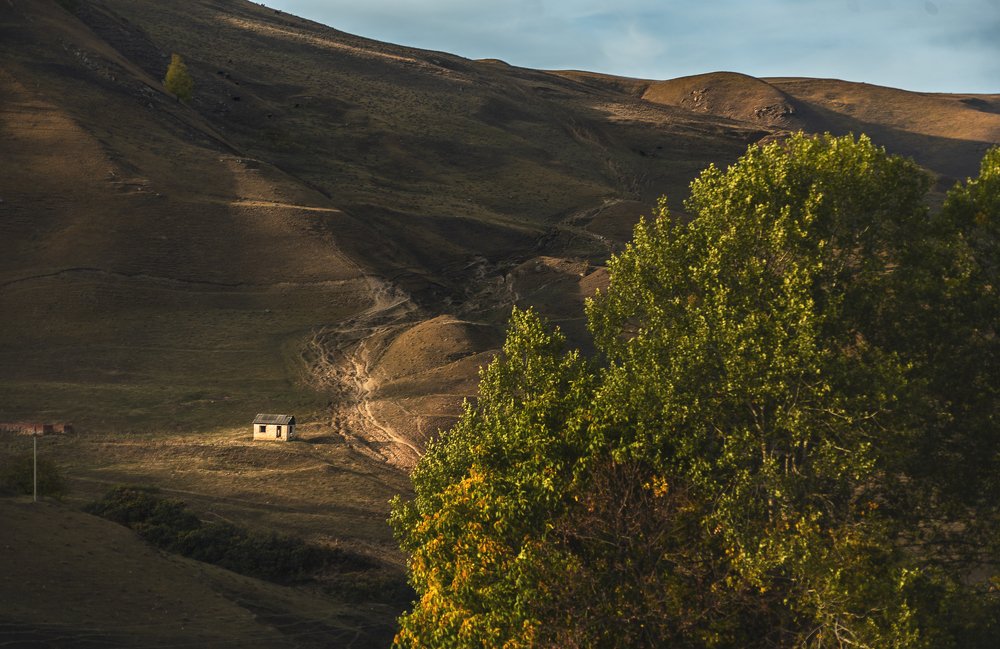 Photograph by Николай Алымов