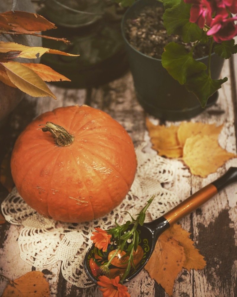 Фотография автора Шутенкова Евгения