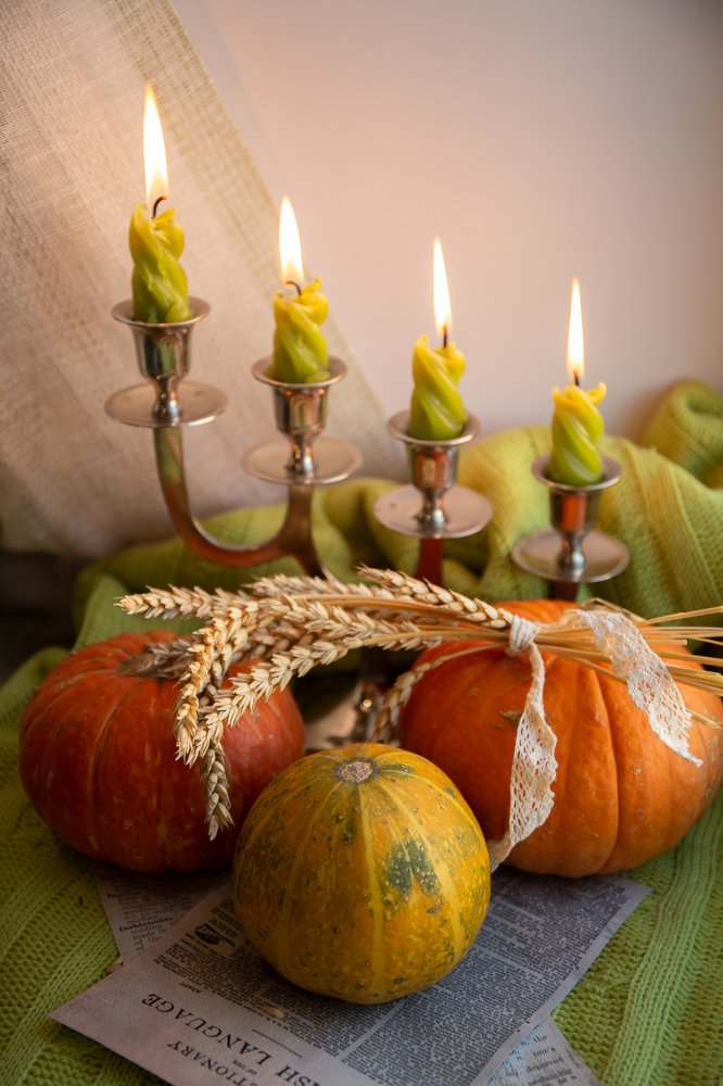 Фотография автора Шутенкова Евгения