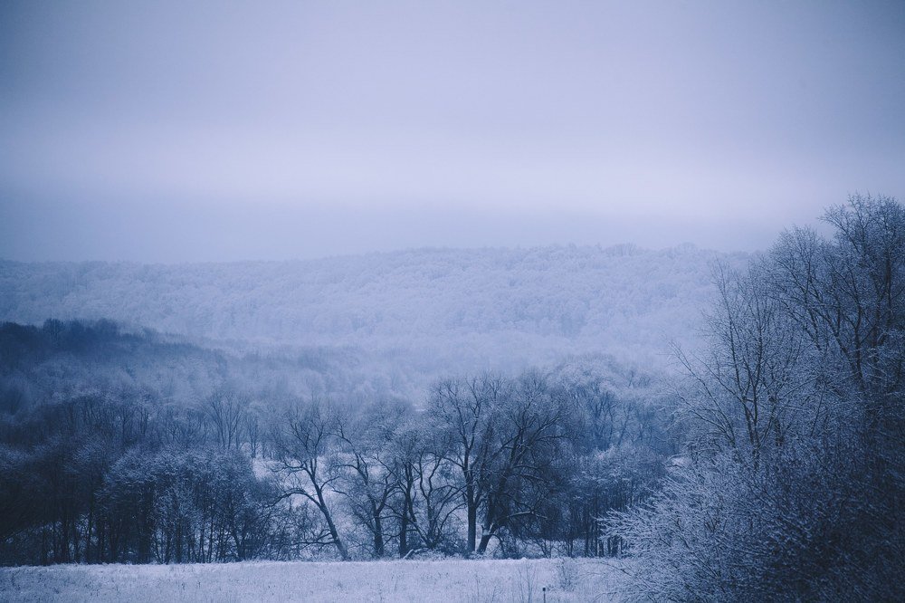 Photograph by Виктор Комиссаров