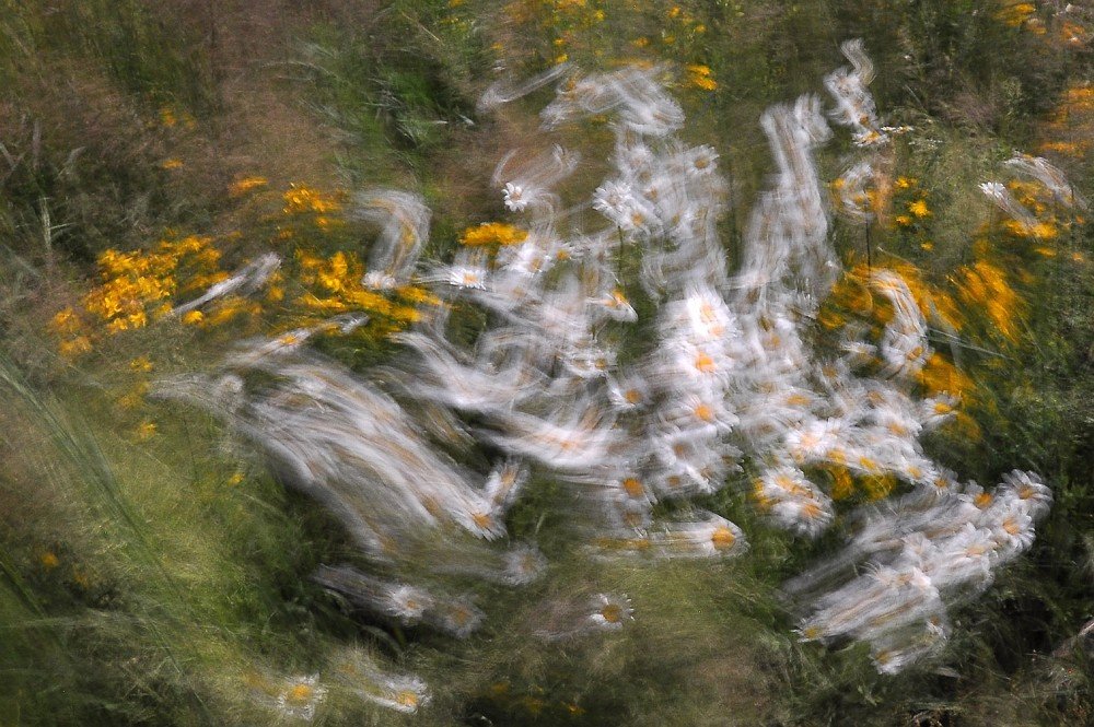 Цветочная палитра!