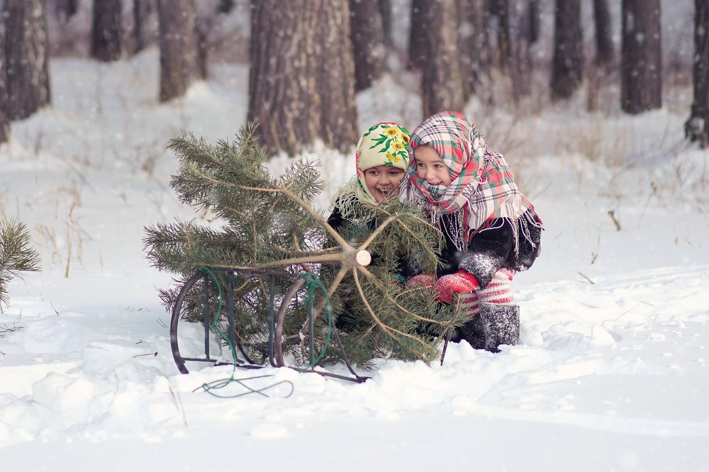 В лес за ёлочкой