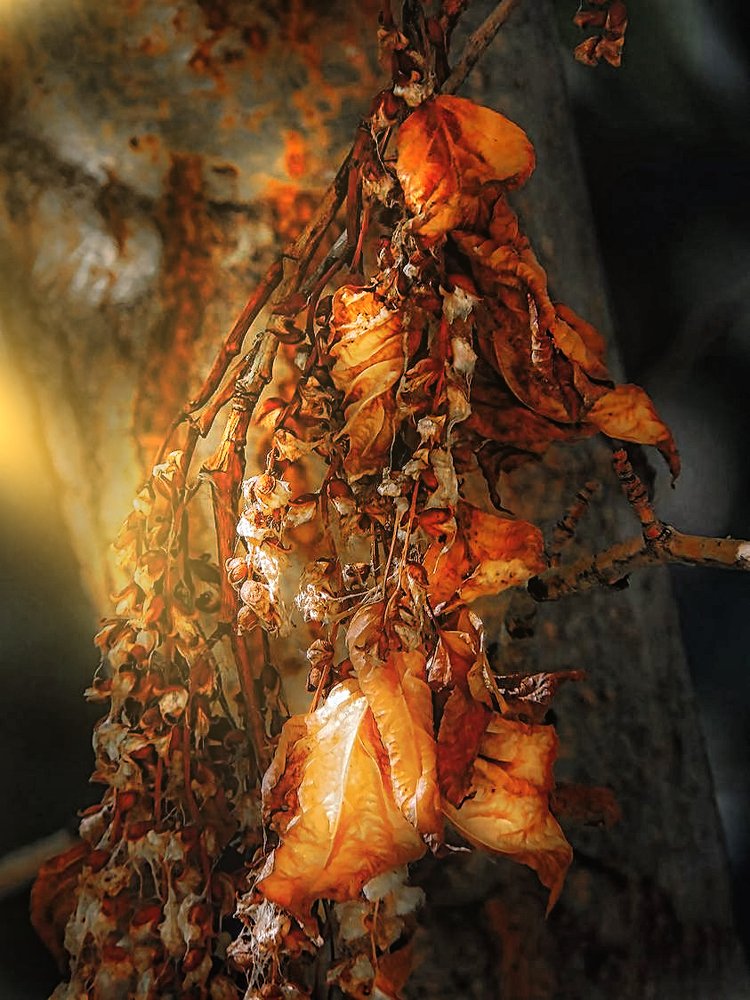 Photograph by Андрей Будков