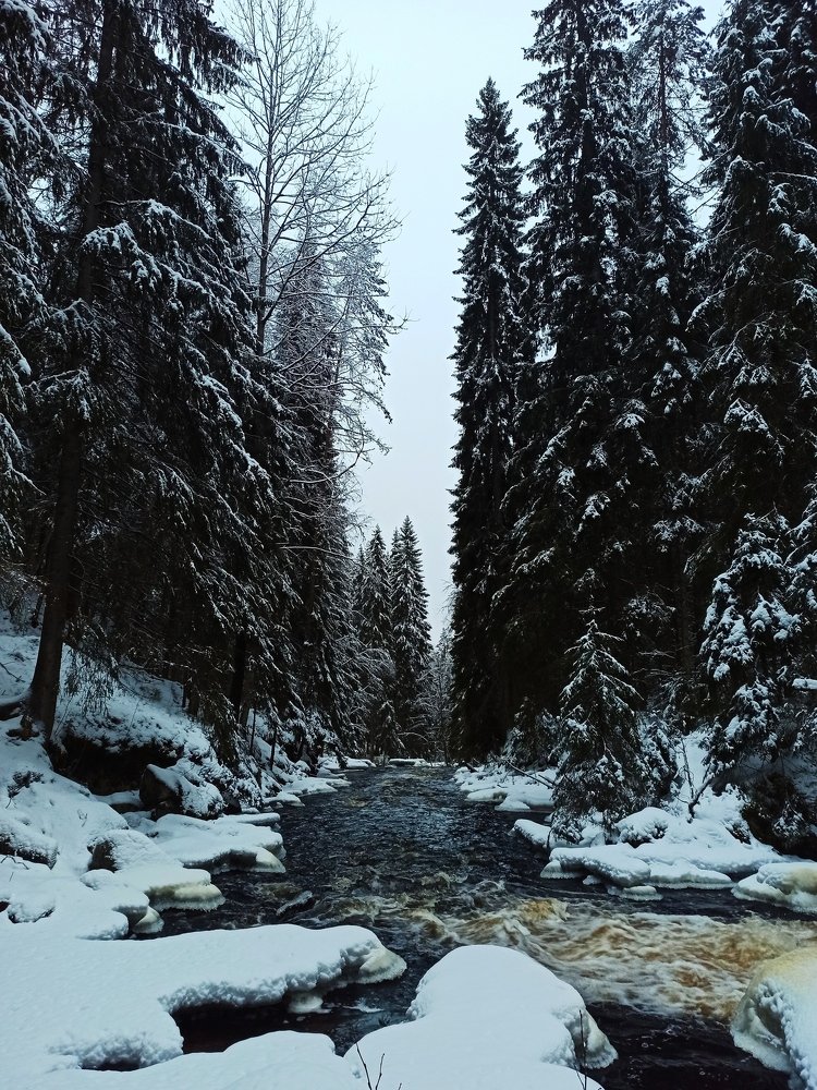 Photograph by Мария Захаркова