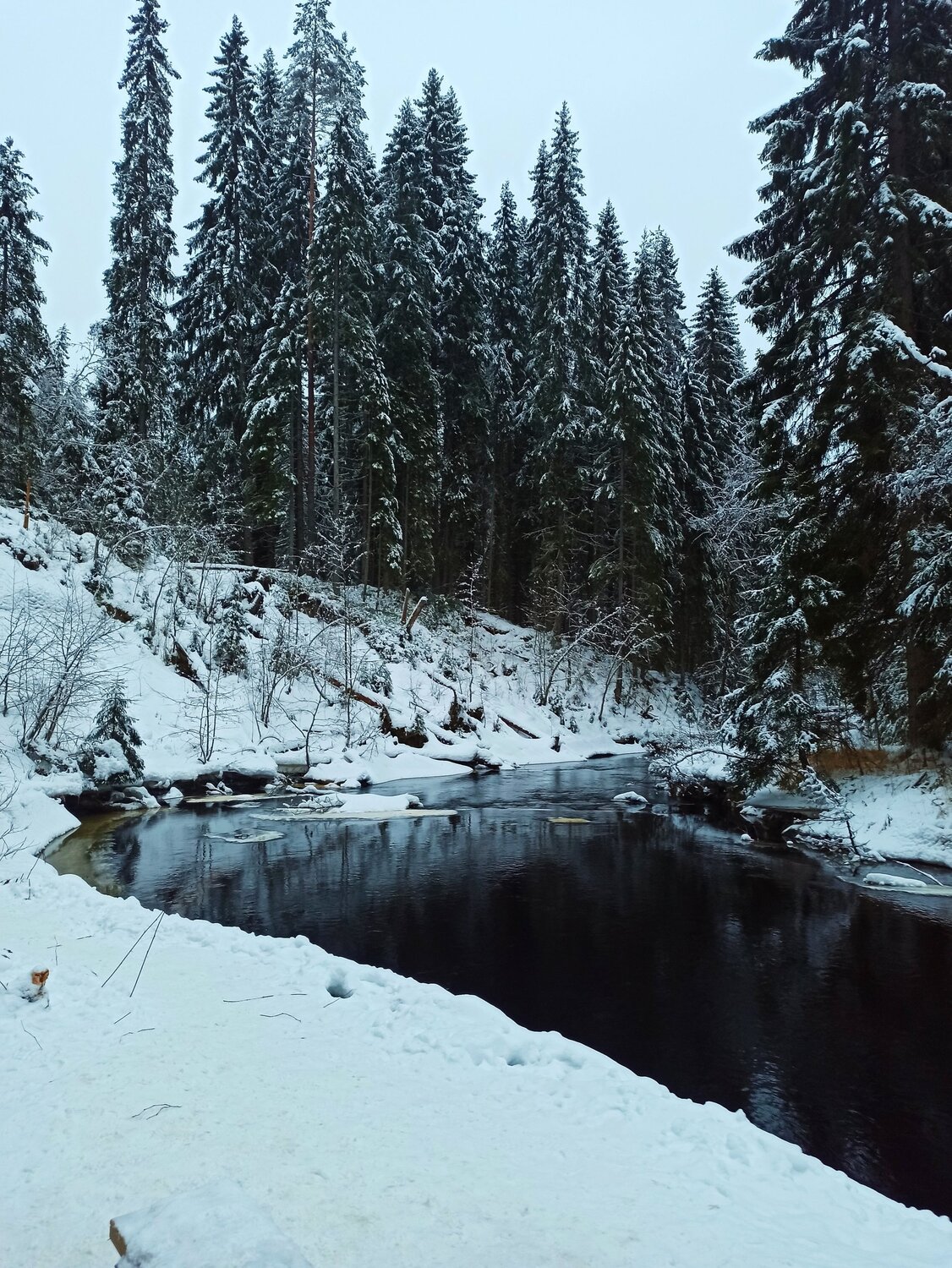 Photo #5494344