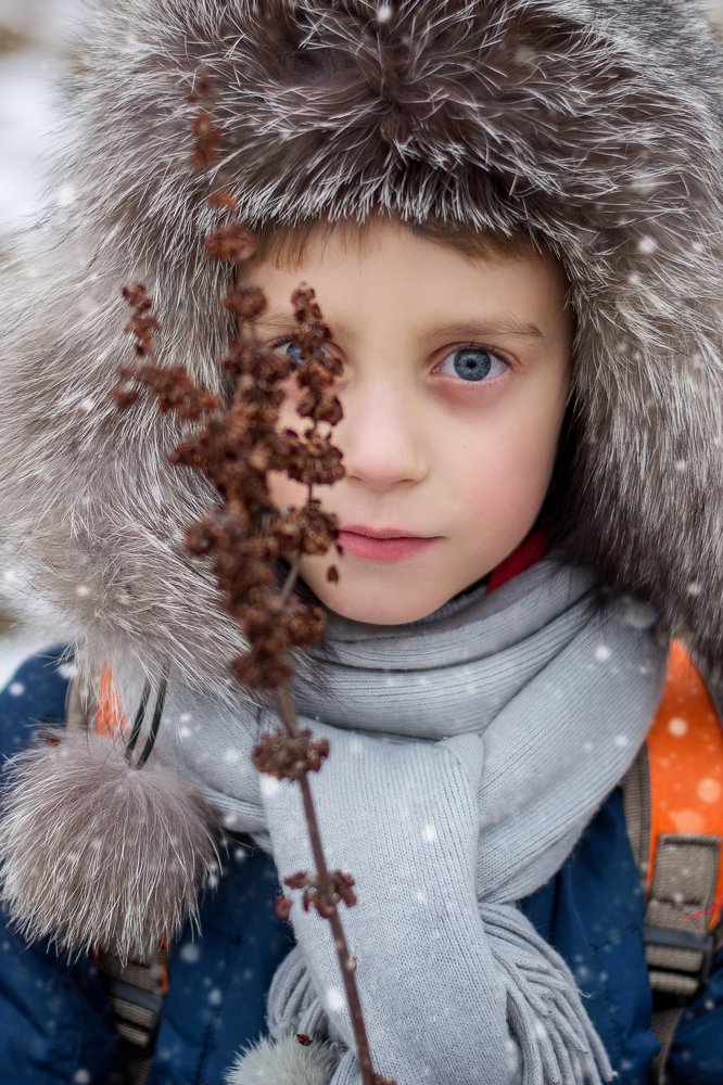 Зимняя прогулка