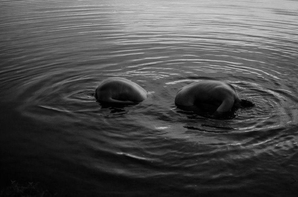 Photograph by Emilija Juškovė