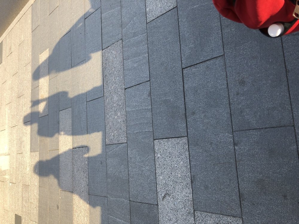 Photograph by Елена Водолеева