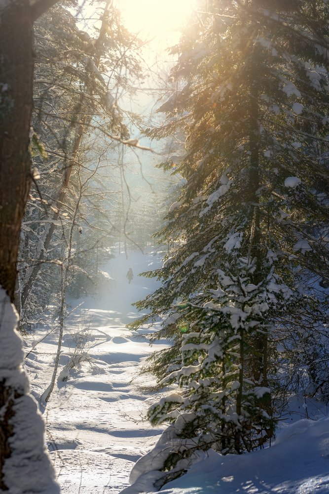 На терренкуре "Старая мельница"
