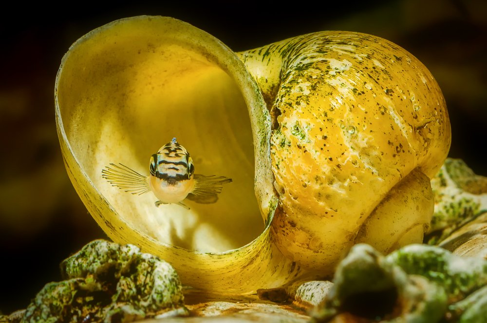 Photograph by Ясинский Юрий