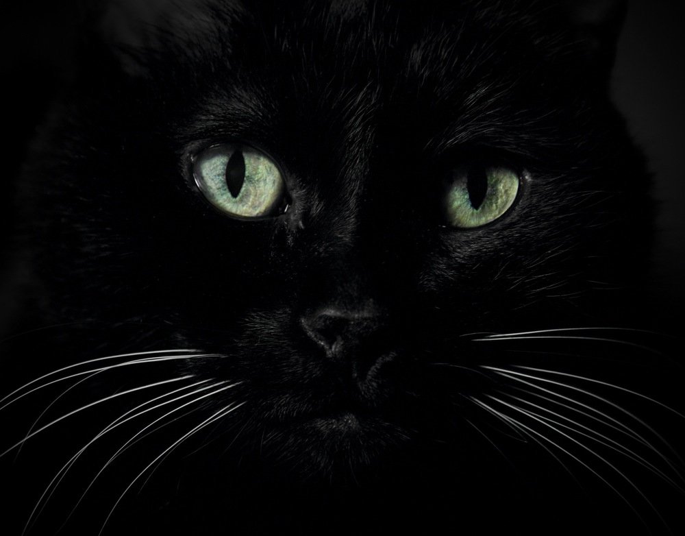 Фотография автора Oксана