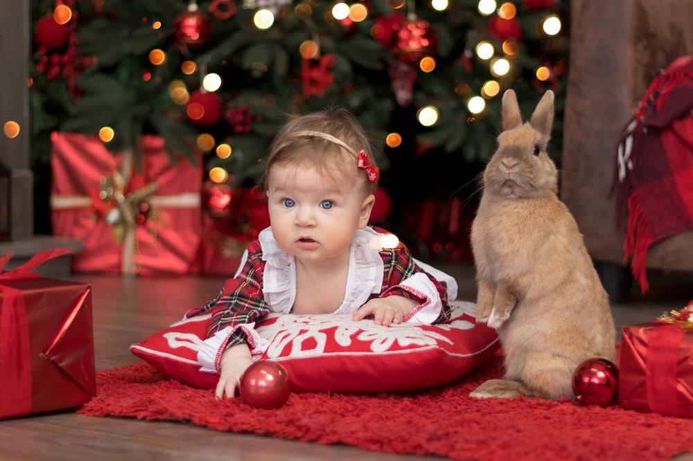 Photograph by Вероника Баньковская