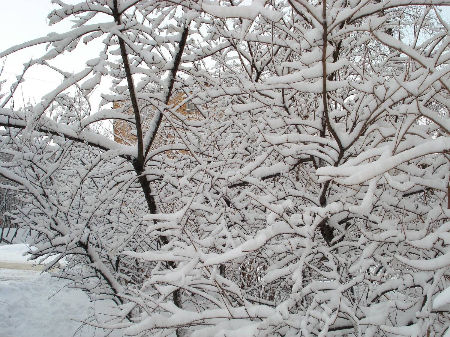 Photo #5494648