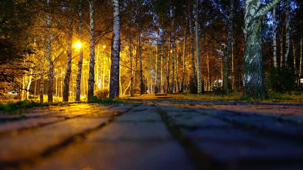 Ночной Томск