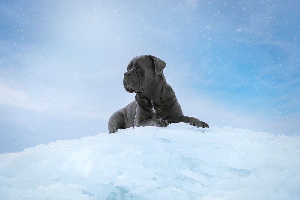 Photograph by Irina Kovaleva