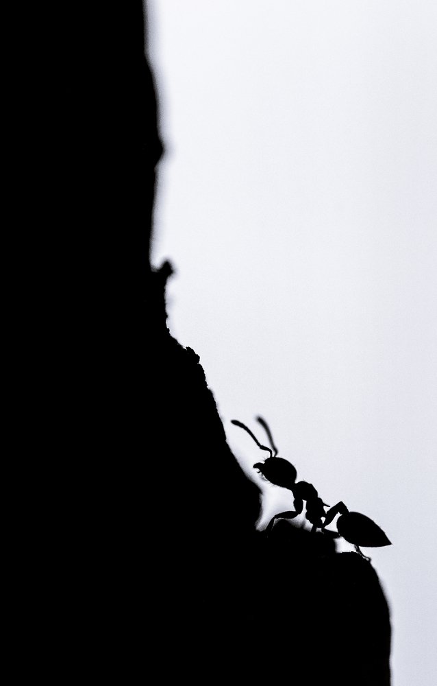 Rome wasn't built in a day