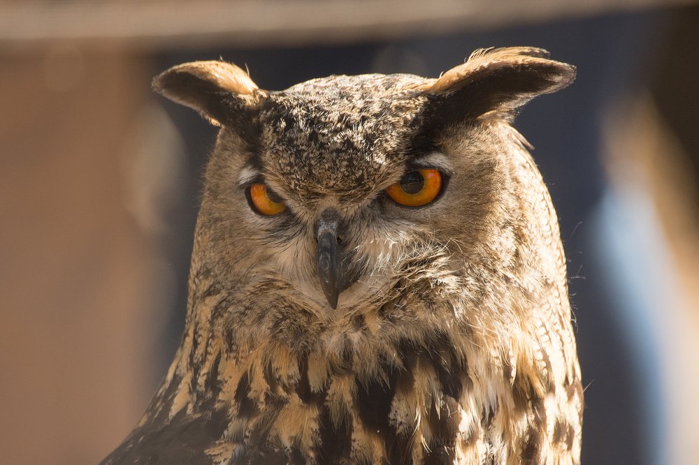 Photograph by Marcos Contreras Ortiz