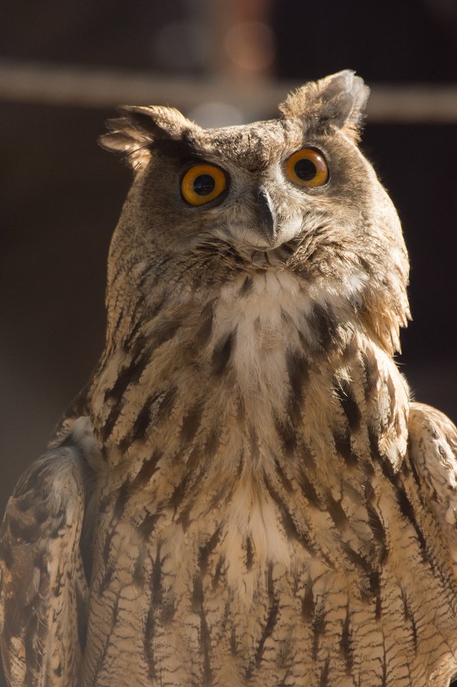 Photograph by Marcos Contreras Ortiz