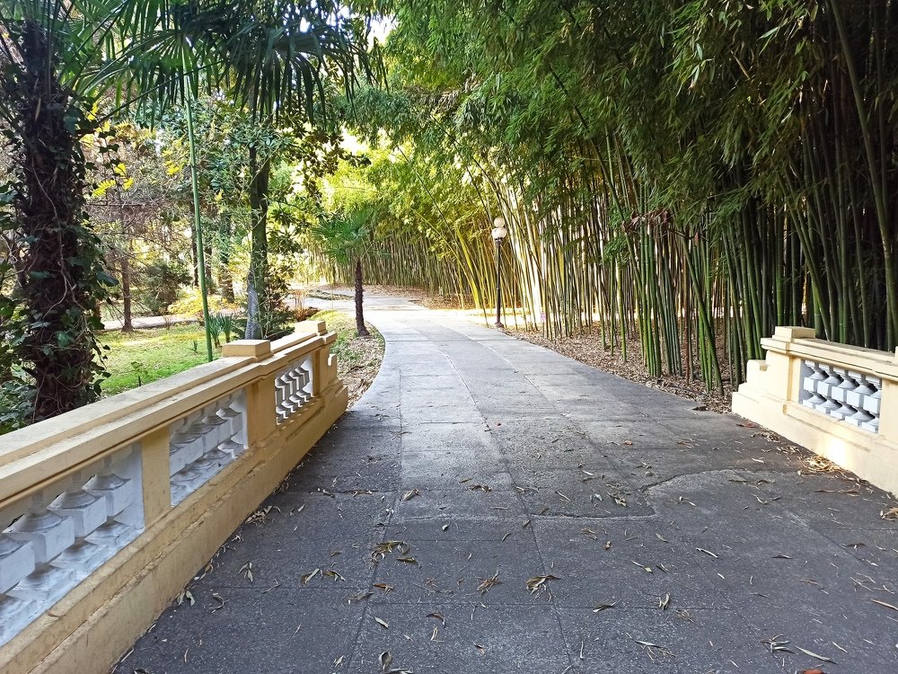 На неведомых дорожках