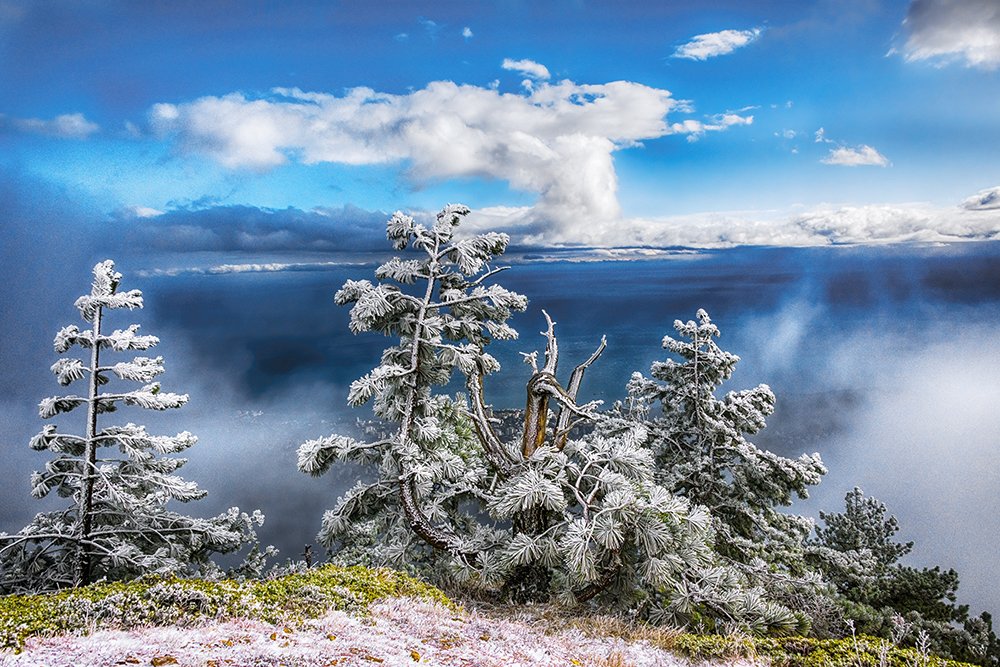 Photograph by Альбина Колодяжная